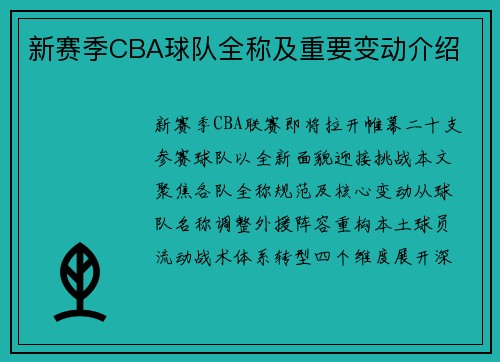 新赛季CBA球队全称及重要变动介绍
